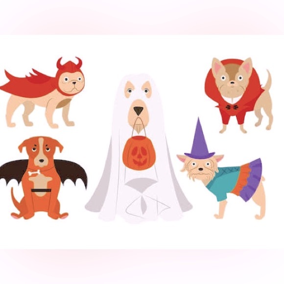 PET COSTUME LOT BUNDLE - Picture 1 of 2
